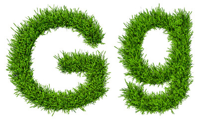 Wall Mural - letter of grass alphabet. 3d illustration