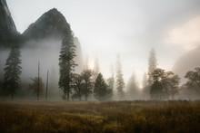 Fog And Mist In Mountain Valley With Trees At Sunset