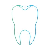 Fototapeta Miasto - healthy tooth with root in degraded green to blue color contour