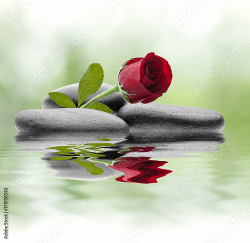 Plakat kamień spa kwiat i woda
