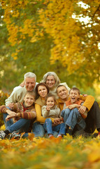 Poster - Big family having fun