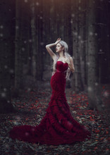 Beautiful Woman With Long White Hair Posing In A Luxurious Red Dress With A Long Train Standing In A Autumn Pine Forest. Creative Colors And Artistic Processing.