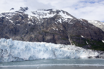 Glacier Bay Scenic