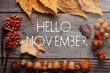 Hello november. frame of autumn decor Poster card with sunlight filter and toned grunge image 