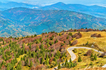 Wall Mural - The Col du Grand Ballon, a mountain pass in the Vosges Mountains - Alsace, France