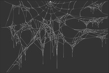 White Spiderweb On Black Background