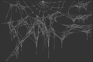 Wall Mural - white spiderweb on black background