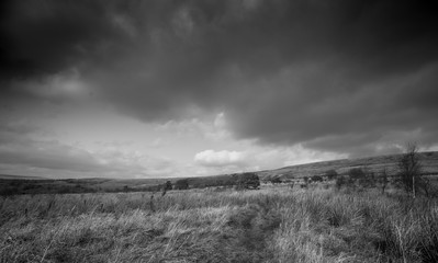 Black and white countryside scene