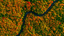 Stunning Aerial View Of Road With Curves Crossing Dense Forest I