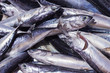 © tatsianat - Raw tuna fishes / Group of fresh tuna fishes in the fish market of Bali, Indonesia