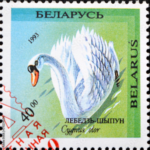 Poster Old postage stamp with the image of Cygnus olor