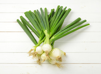 Poster - bunch of spring onion