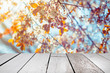 © fotofabrika - desk top and spring