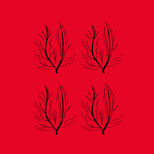 Design Seaweeds  Red Black Jpg