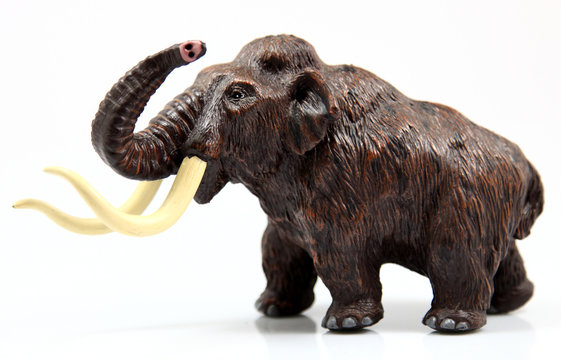 Toy mamut on white background