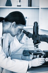 Poster - Darkhaired female looking through a microscope