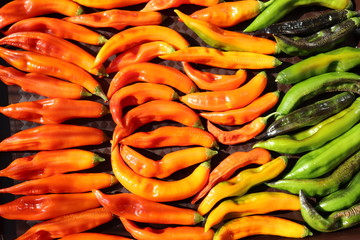 Sticker - The multitude of chilli peppers, closeup view