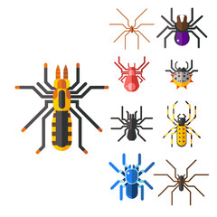 Wall Mural - Spider web silhouette arachnid fear graphic flat scary animal design nature insect danger horror halloween vector icon.