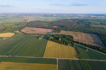 Wall Mural - Aerial view of agricultural fields