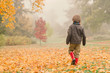 © Rebecca Spencer/Stocksy - Boy walking through Fall scene