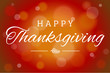 Brown Soft Focus Happy Thanksgiving Vector Horizontal Background 1