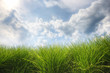© Andy Brandl/Stocksy - Scenic view of grassy field against cloudy sky