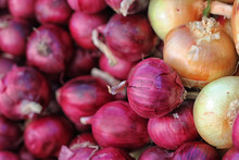 Fresh Organic Onions At The Local Farmers Market