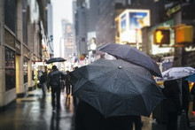 People Holding Umbrella Under The Rain In Times Square - NYC