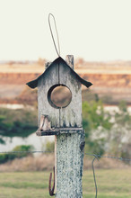 Birdhouse With A View