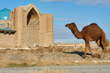 Types of the city of Turkestan. Turkestan, is a city in the South Kazakhstan Region of Kazakhstan, near the Syr Darya river.