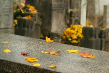 Tombstones With Yellow Leaves On Them And Yellow Flowers In The Background