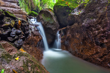 Wall Mural - Flowing river in brown rocky stones of tropical jungle around fallen leaves and beautiful green nature. River at Monkey Forest, Ubud, Bali, Indonesia.