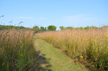 Prairie Landscape