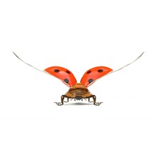 Ladybug On White. Rear View. 3D Illustration