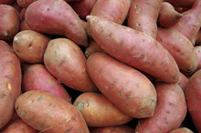Sweet Potatoes Piled For Market