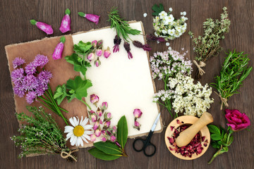 Sticker - Herbal medicine preparation with herbs and flowers used in natural alternative remedies with hemp paper notebook and mortar with pestle on rustic oak wood background. Top view.