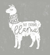 No drama llama cute card with cartoon llama. No probLlama motivational and inspirational quote. Cute  llama drawing with lettering, hand drawn vector illustration for cards, t-shirts, cases.
