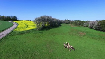 Wall Mural - Aerial view of south Sweden