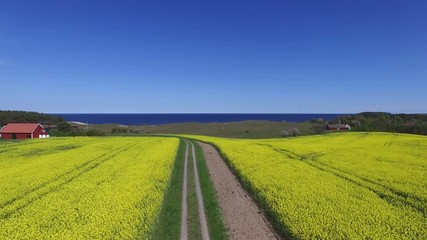 Wall Mural - Aerial view of south Sweden