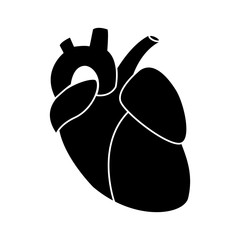 Poster - Human heart symbol icon vector illustration graphic design