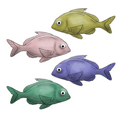 Poster - Color fish