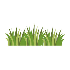 Wall Mural - grass field isolated icon