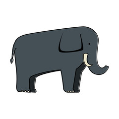 Wall Mural - wild elephant isolated icon