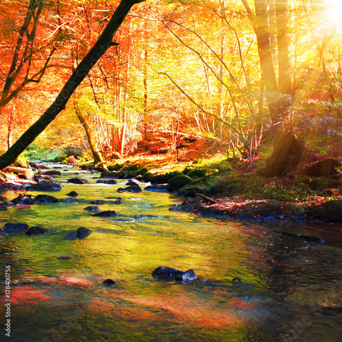 Foto-Schiebegardine ohne Schienensystem - Goldener Herbst (von Thaut Images)