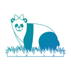 Poster - wild bear panda with bush