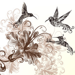 Poster - Floral background with hummingbirds and hibiscus flowers