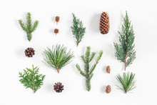 Christmas Composition. Different Winter Plants On White Background. Christmas, Winter, New Year Concept. Flat Lay, Top View
