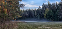 The Fog Melts In A Clearing In A Pine Forest