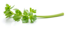 Close-up One Stick Of Fresh Celery With Leaves Isolated On White Background