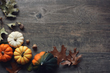 Thanksgiving Season Still Life With Colorful Small Pumpkins, Acorn Squash And Fall Leaves Over Rustic Wooden Background